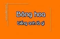 Bông Hoa Dịch Ra Tiếng Anh Là Gì