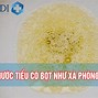 Nước Tiểu Có Bọt Tan