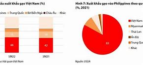 Tổng Sản Lượng Gạo Việt Nam 2023